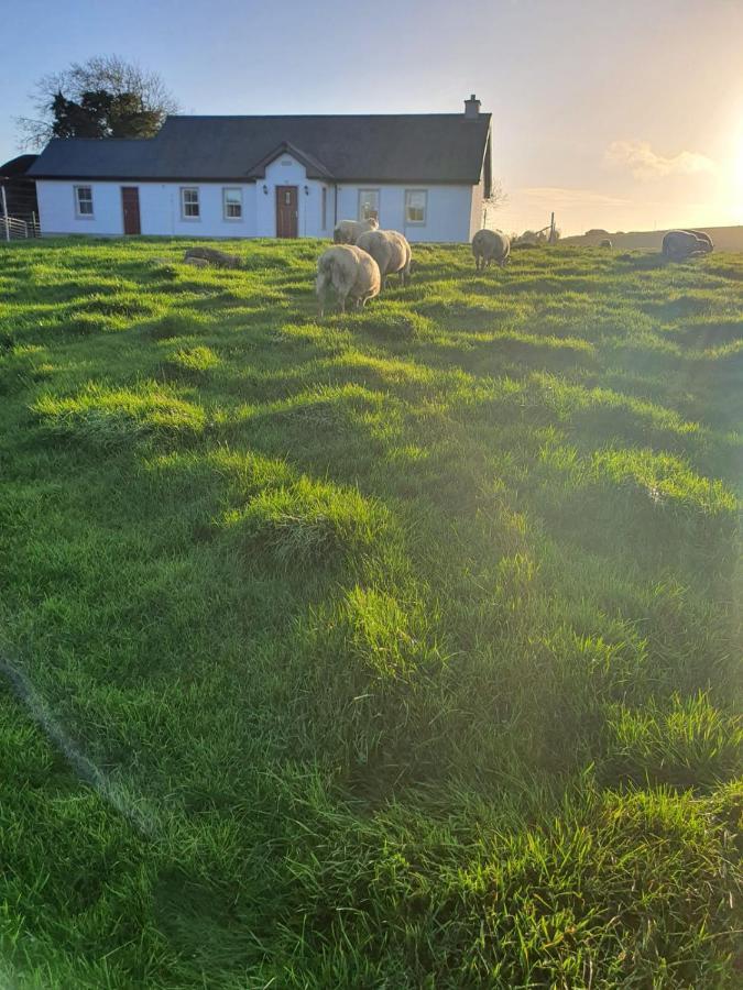 Claragh Cottage Cavan Extérieur photo